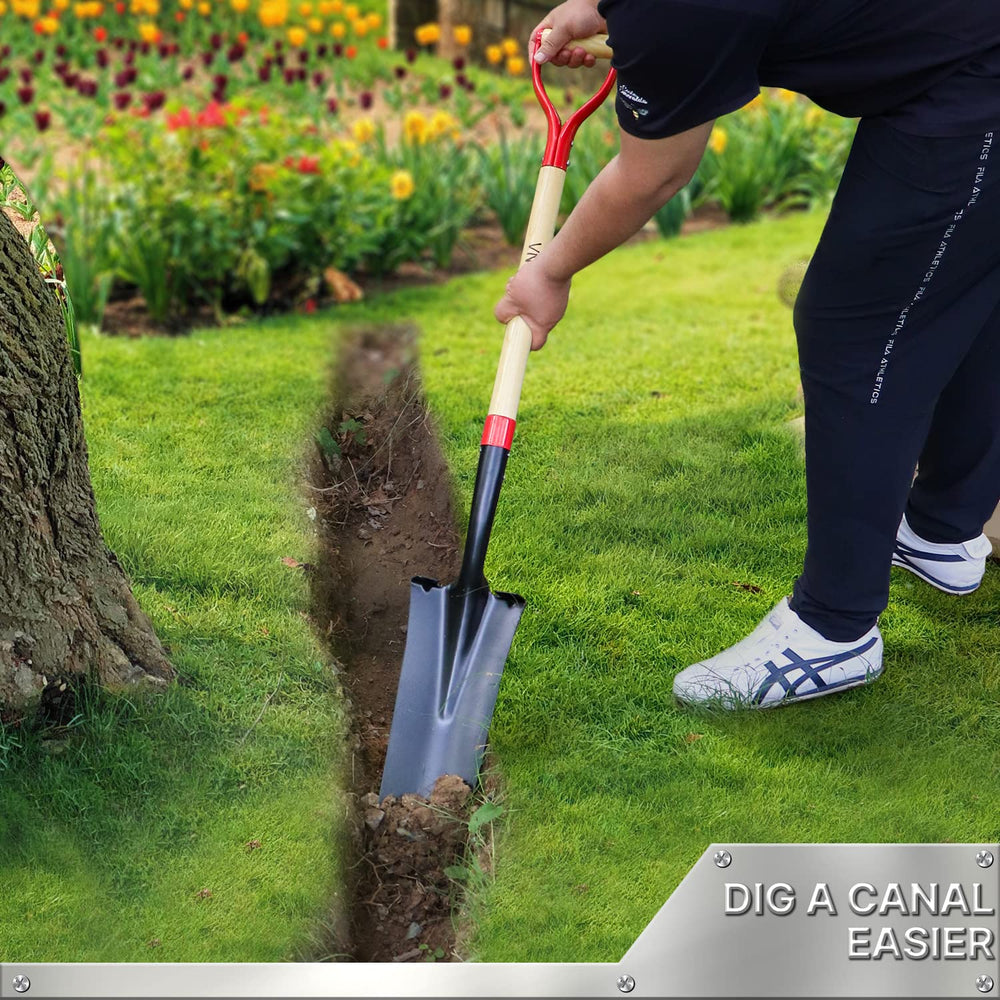 VNIMTI spade in use transplanting a perennial, enabling neat root plugs