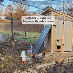 Vocray netting installed on chicken coop preventing aerial predator access