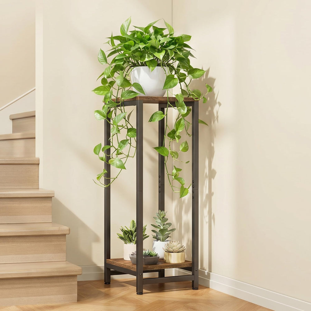 VonDream styled in a living room holding plants and decorative items