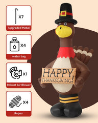 Voplintra pilgrim hat close-up showing cute detail and visual charm