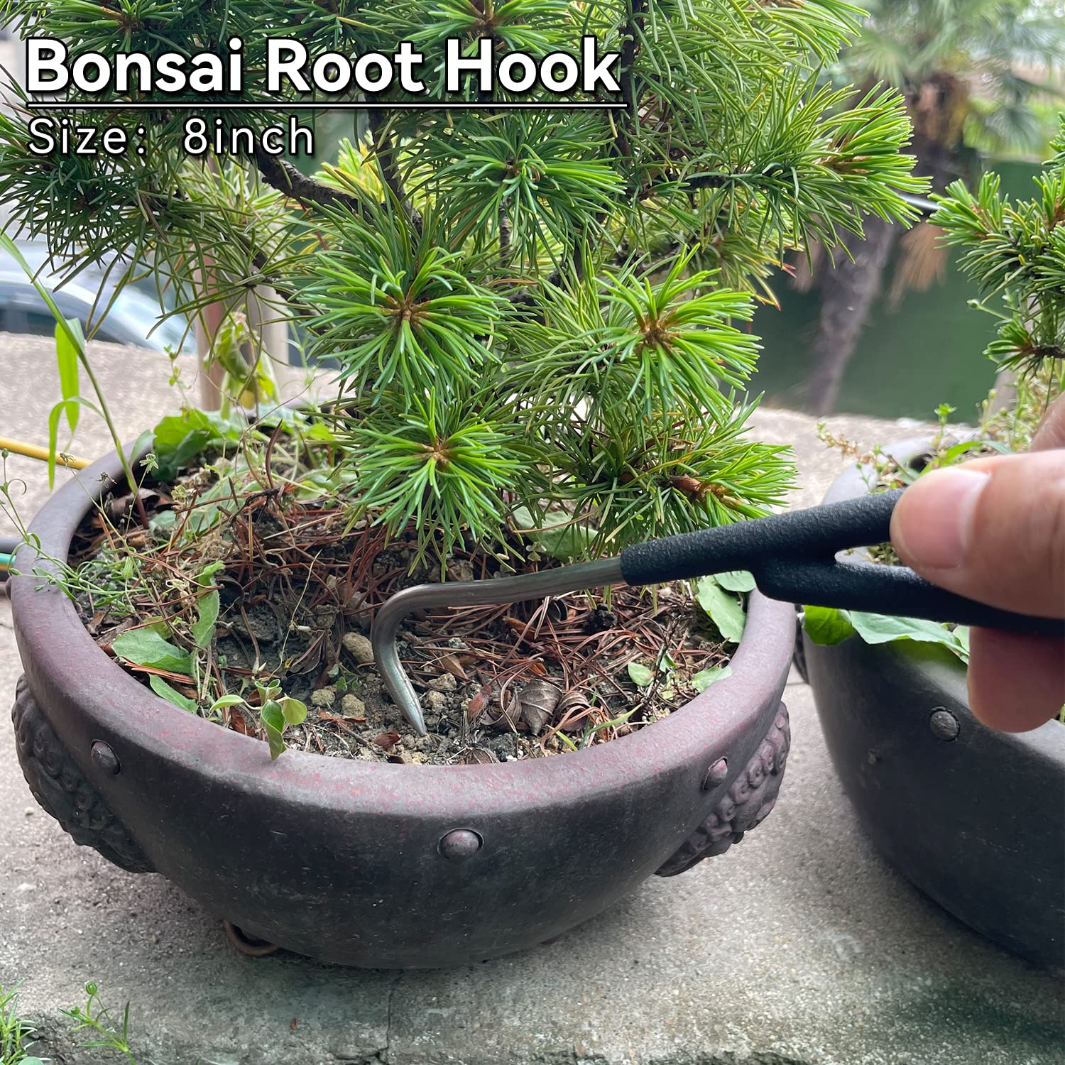 VOUIU root hook in repotting use exposing roots without damage