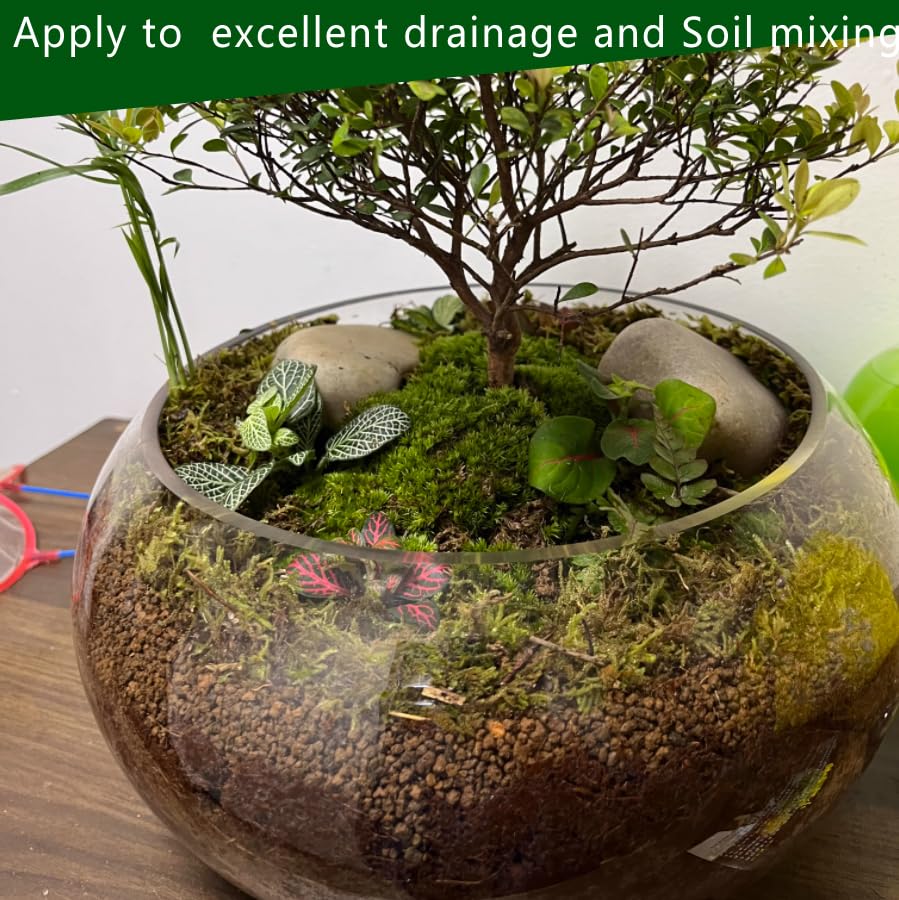 Voulosimi application in a bonsai pot improving drainage and root health