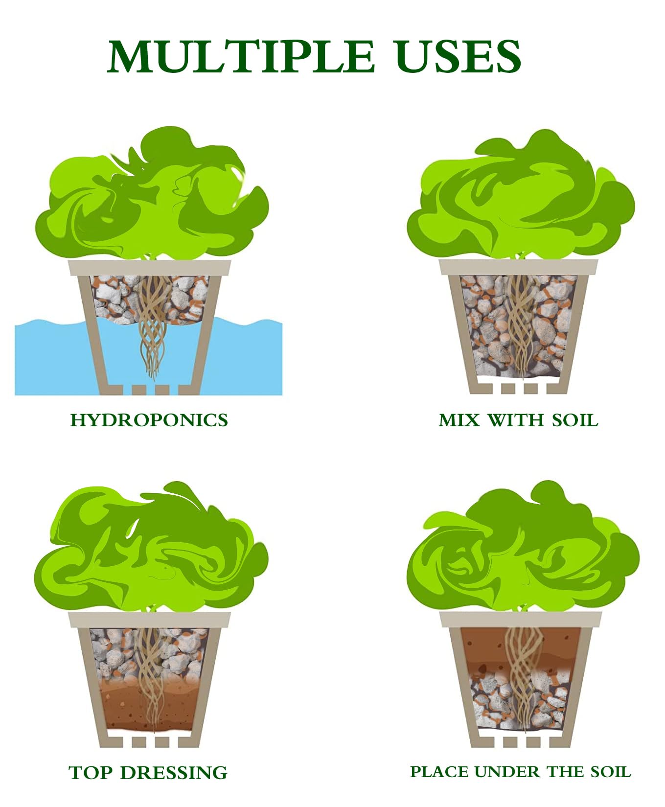 Voulosimi pumice used in a succulent pot illustrating better drainage and root health