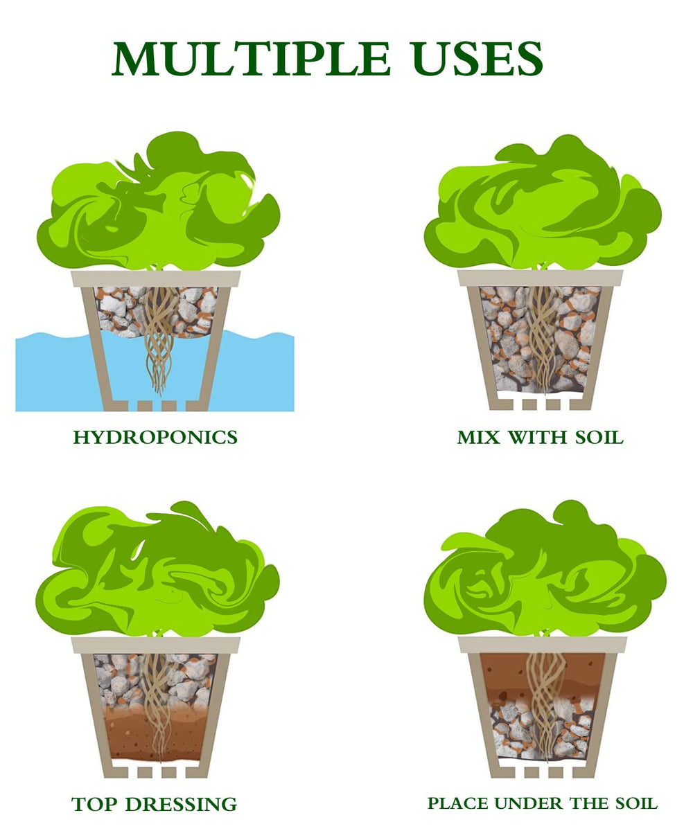 Voulosimi pumice used in a succulent pot illustrating better drainage and root health
