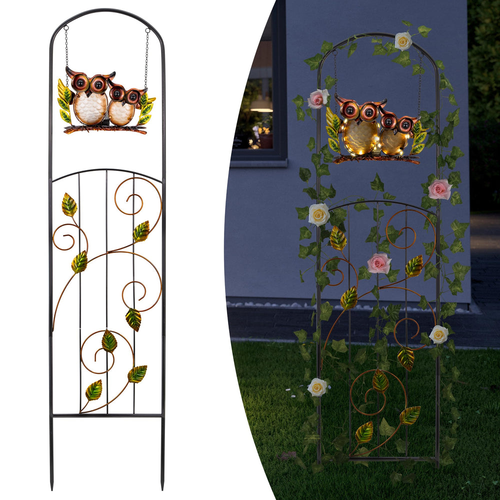 Voumsil front view trellis showing structure and dual-purpose support benefit