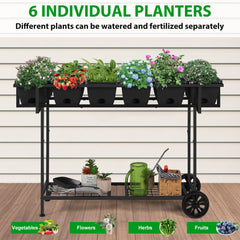 Vrisa close-up of removable drainage tray illustrating tidy watering benefit