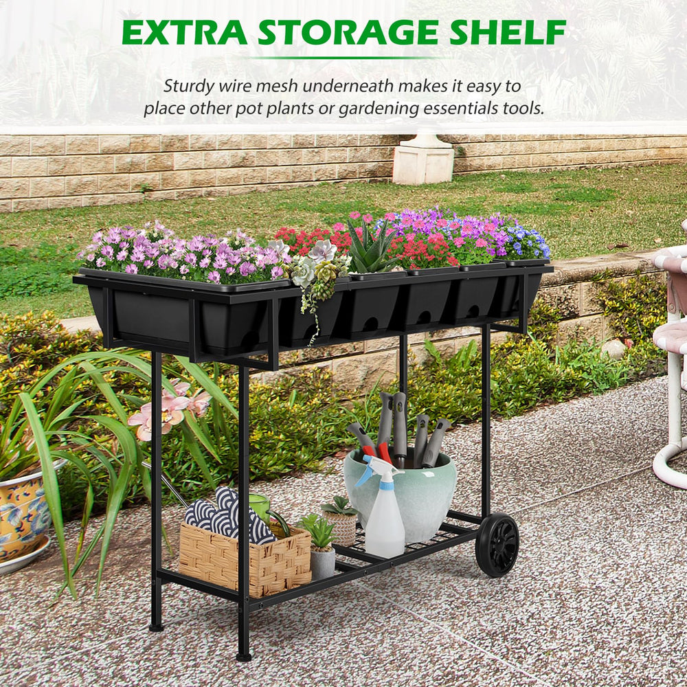 Vrisa shown next to garden tools to indicate size and scale benefit