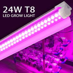 VShape close-up of dual-row LED array highlighting full spectrum light for stronger seedlings