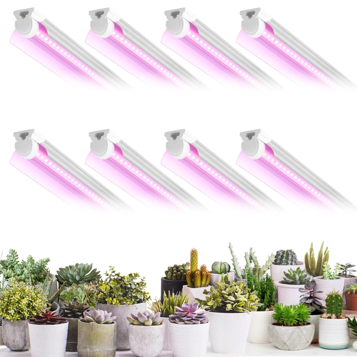 VShape front view of 8-pack T8 lights showing compact linkable fixtures and organized layout