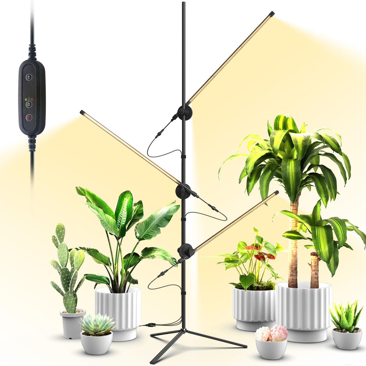 VShape front view on stand showing full three-head coverage and even light