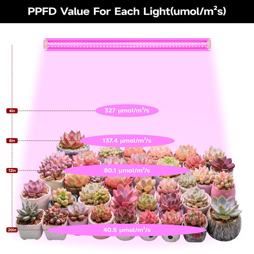 VShape mounted over seedling tray demonstrating focused growth lighting for young plants