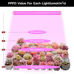 VShape mounted over seedling tray demonstrating focused growth lighting for young plants
