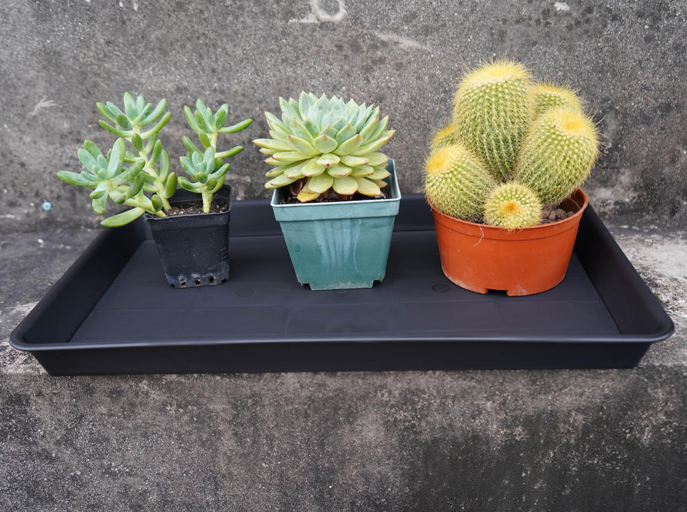 VUWEZ tray side view showing 1.5-inch depth for water containment
