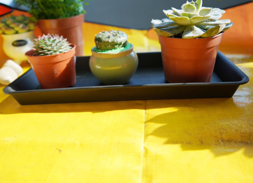 VUWEZ lifestyle balcony setup with two trays showing organized outdoor plant display