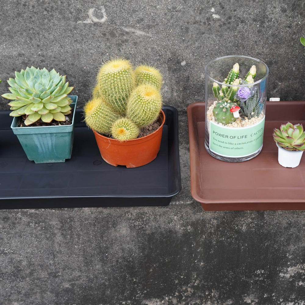 VUWEZ trays displayed on windowsill enhancing plant organization