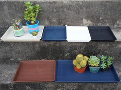 VUWEZ tray used for seedling flats showing tidy propagation setup