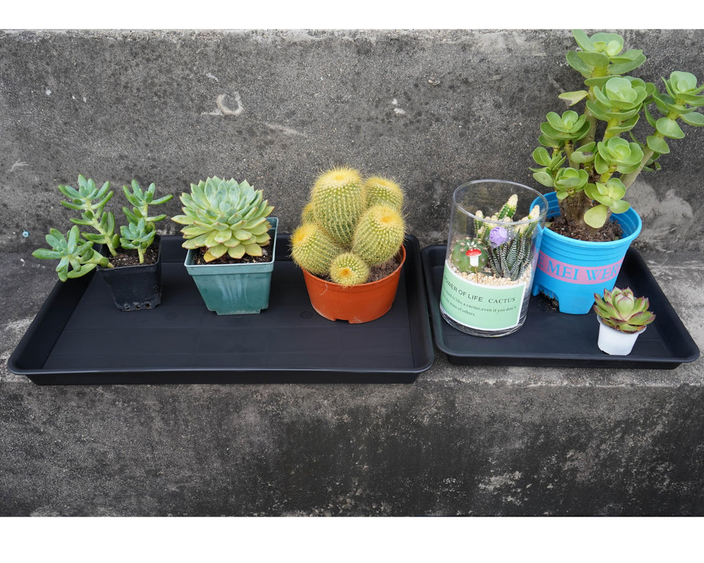 VUWEZ tray next to ruler showing 22 by 11.2 inch scale