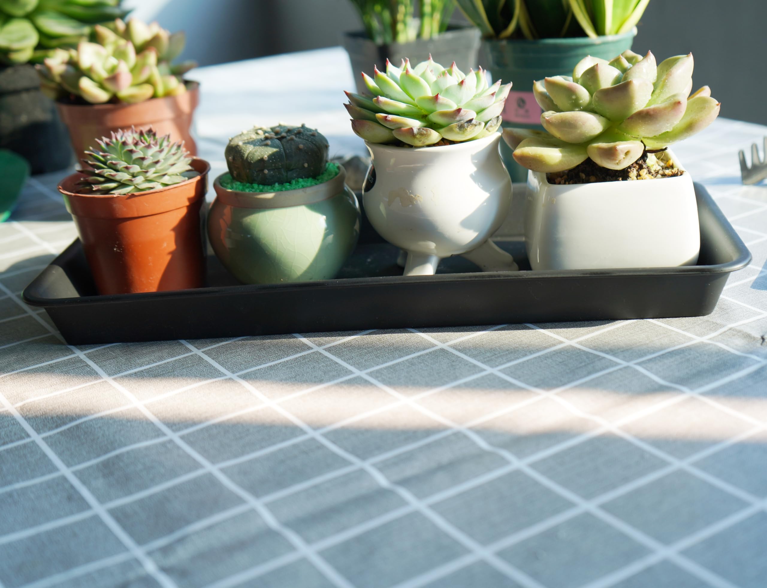 VUWEZ interior basin texture for easy cleaning and water containment
