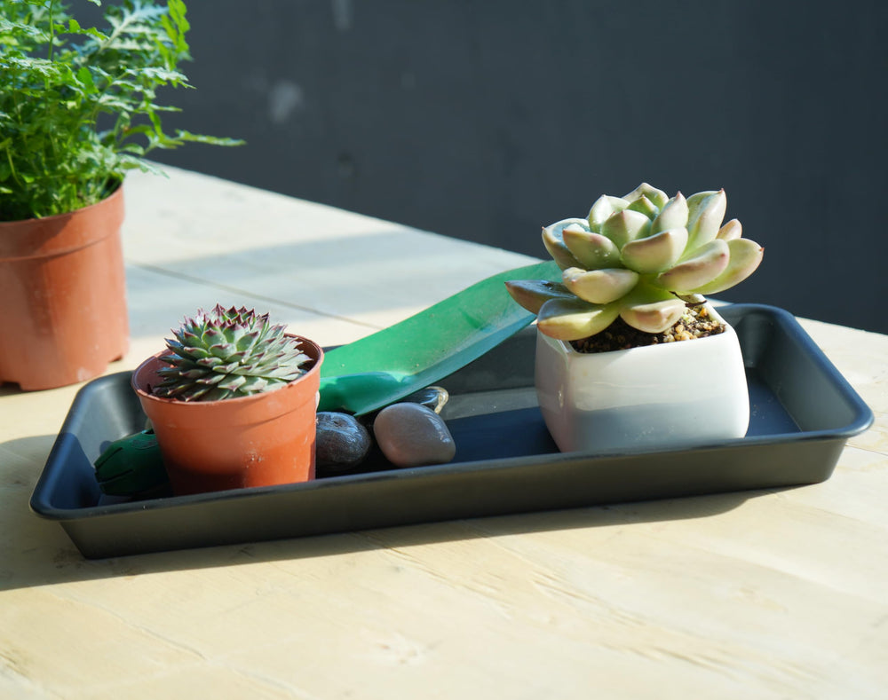 VUWEZ tray holding captured water close-up showing containment benefit and easy cleaning