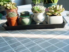 VUWEZ tray with planter on windowsill demonstrating neat drainage and surface protection