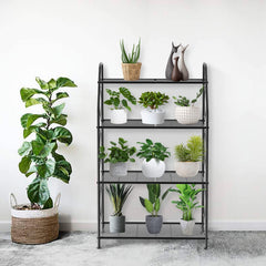 VyGrow decorative side wire detail highlighting elegant design and style