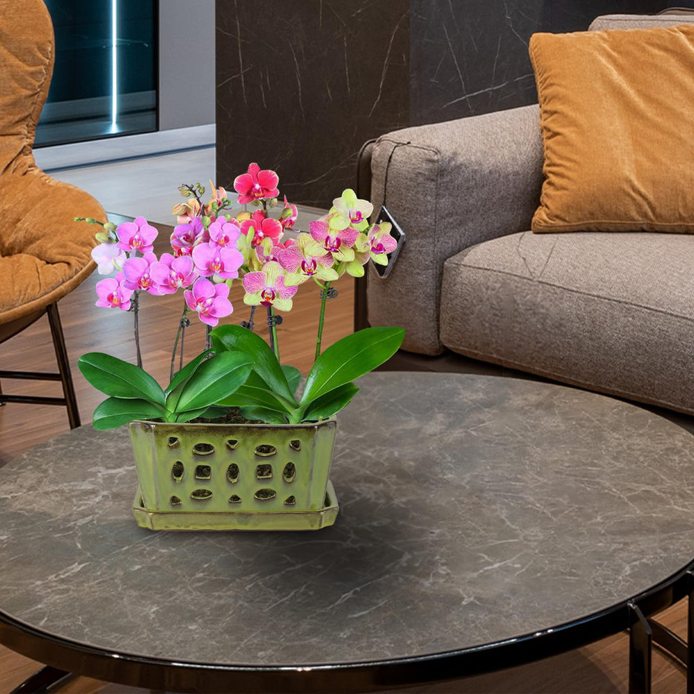 W&W pot on windowsill lifestyle shot emphasizing decorative color and sunlight fit