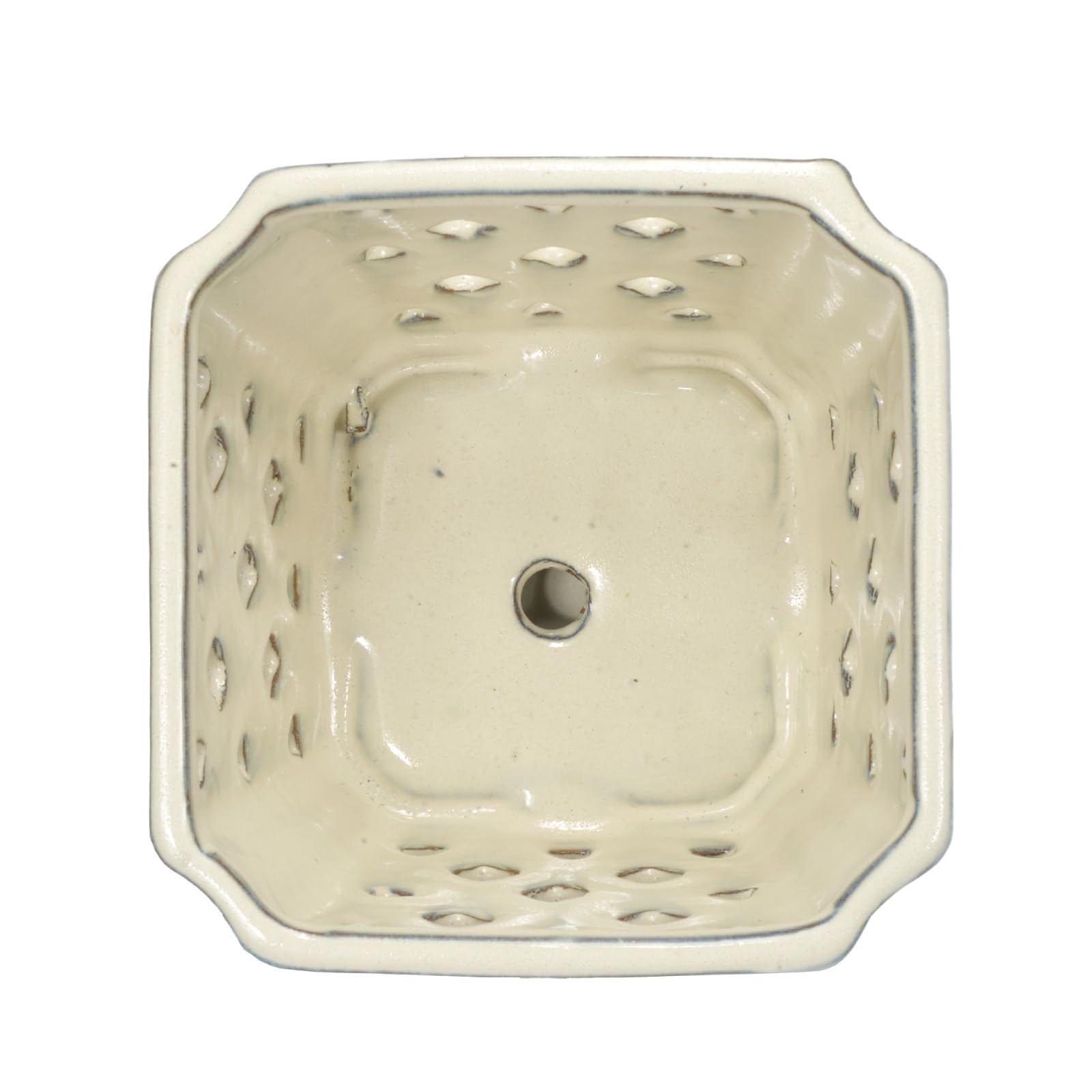 W&W pot planted with orchid demonstrating proper fit and healthy display