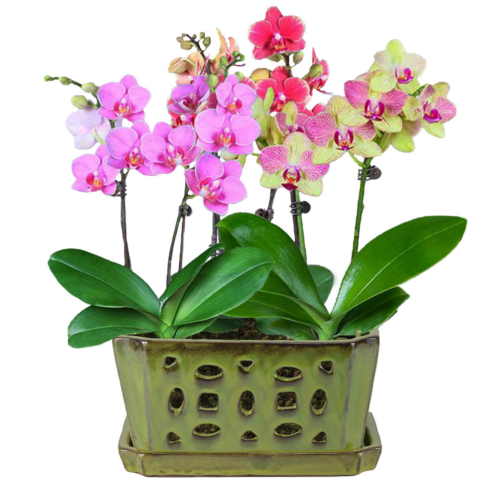 W&W pot held in hand showing true 9.7-inch scale and manageable weight