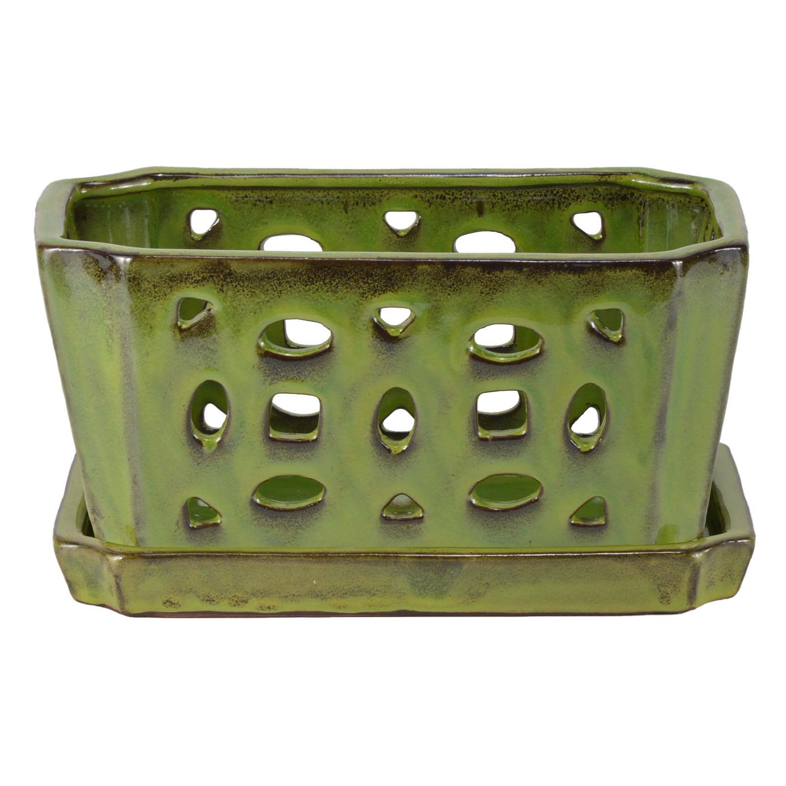 W&W side profile highlighting ceramic thickness and stable rim for repotting