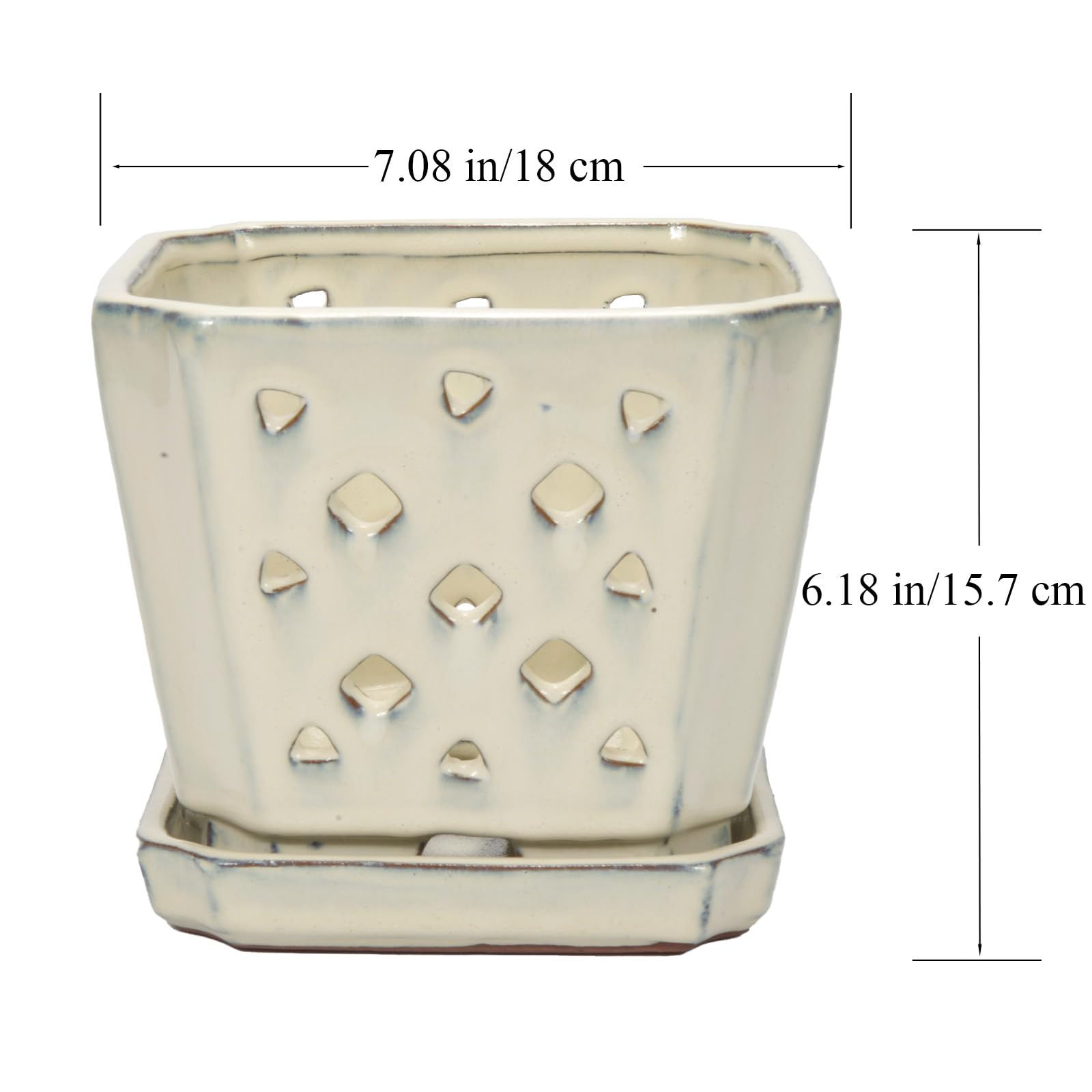 W&W pot beside ruler showing 7-inch scale for repotting decisions