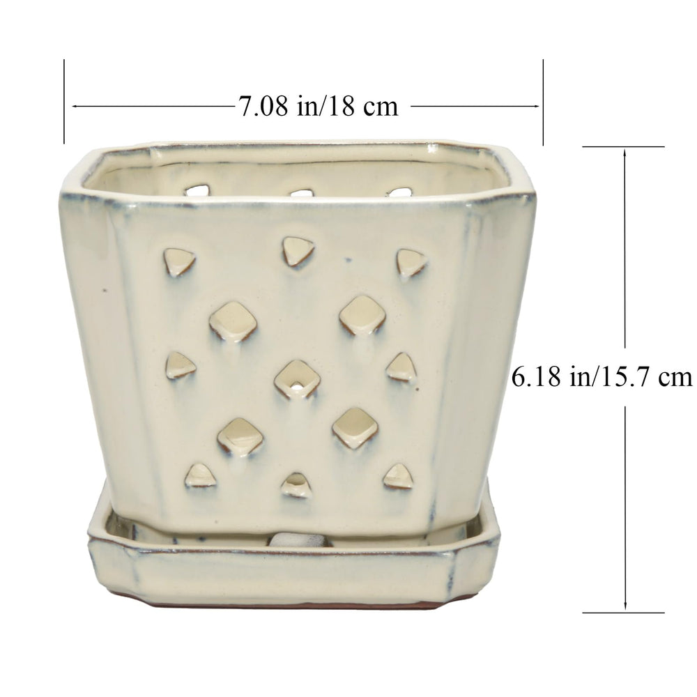 W&W pot beside ruler showing 7-inch scale for repotting decisions