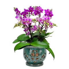 W&W front view green-mix pot highlighting elegant finish and fit