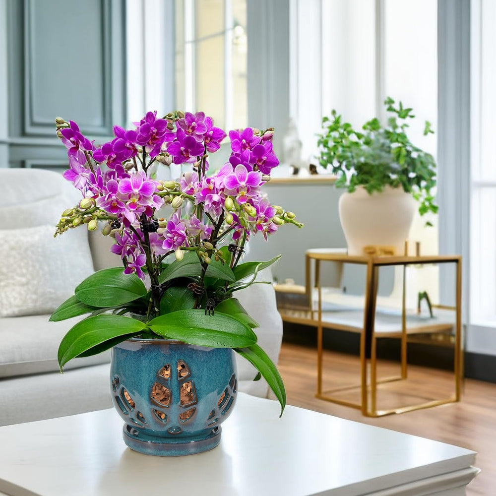 W&W pot styled on shelf showing decorative teal color enhancing decor