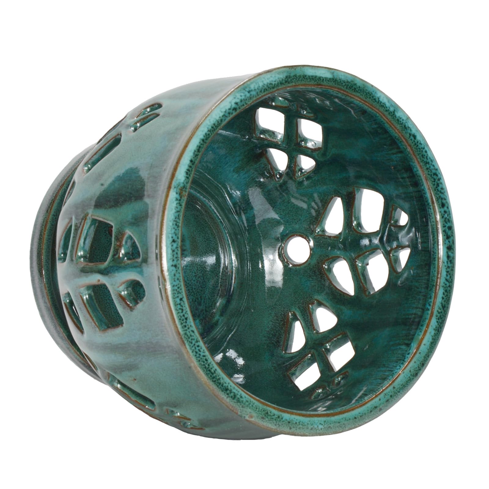 W&W top view with saucer capturing excess water for tidy care