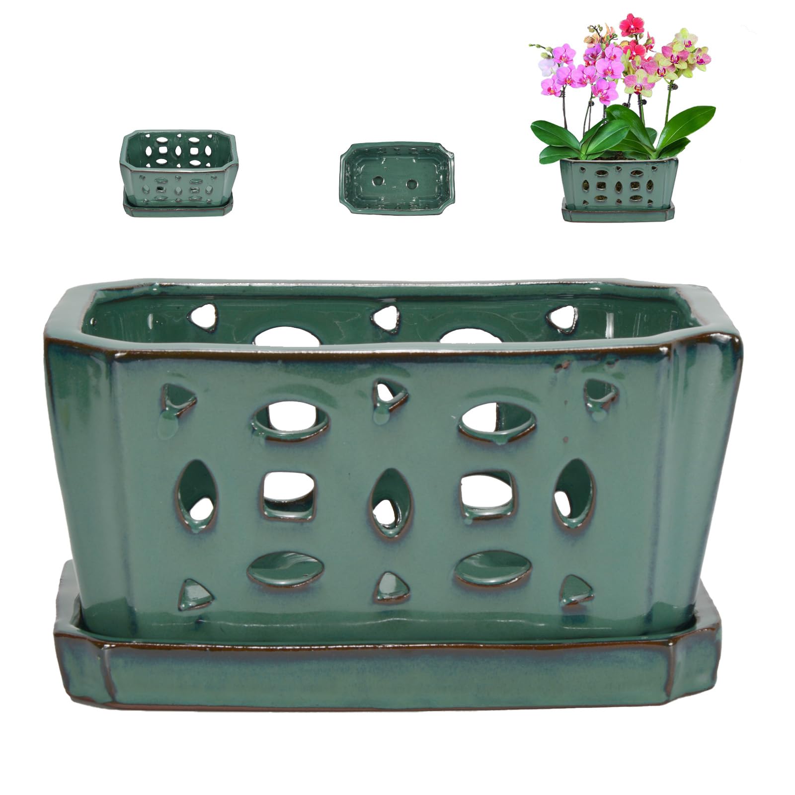 W&W green orchid pot front view showing elegant shape and display-ready look