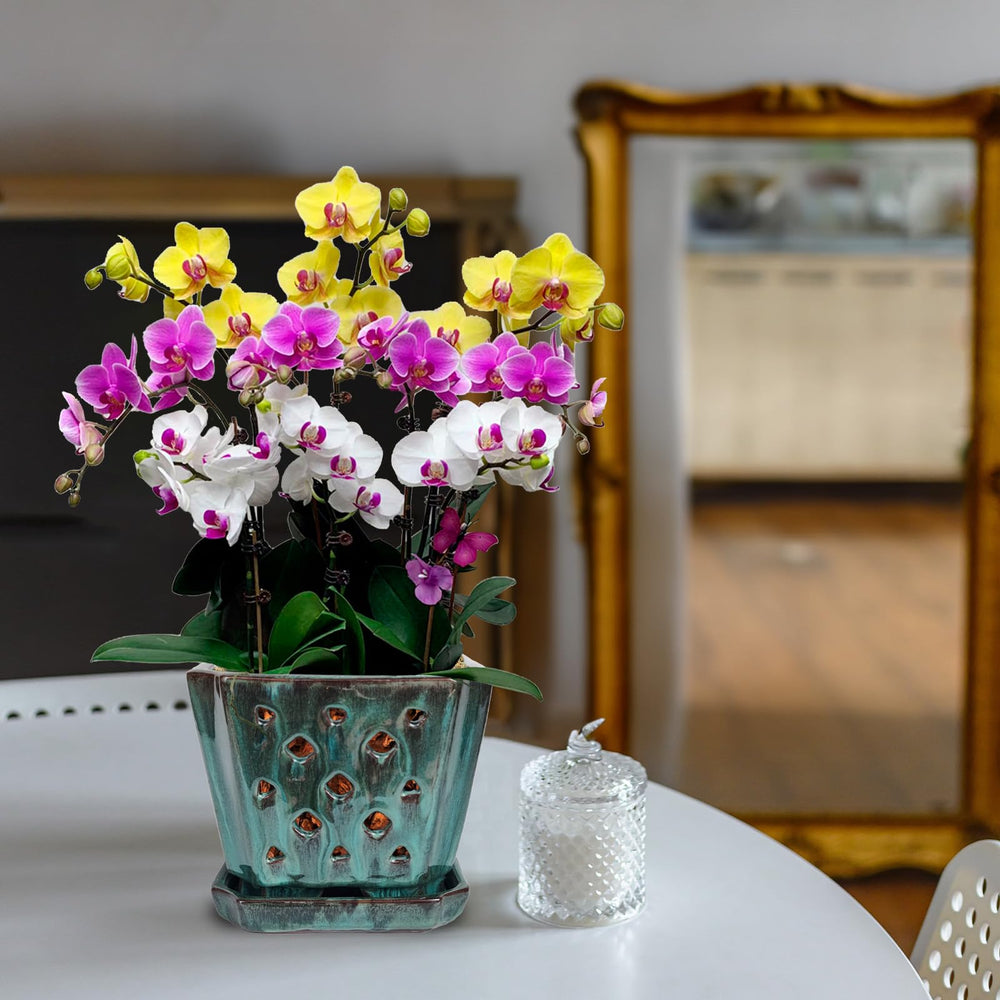 W&W lifestyle styled table display showing how the pot complements home decor