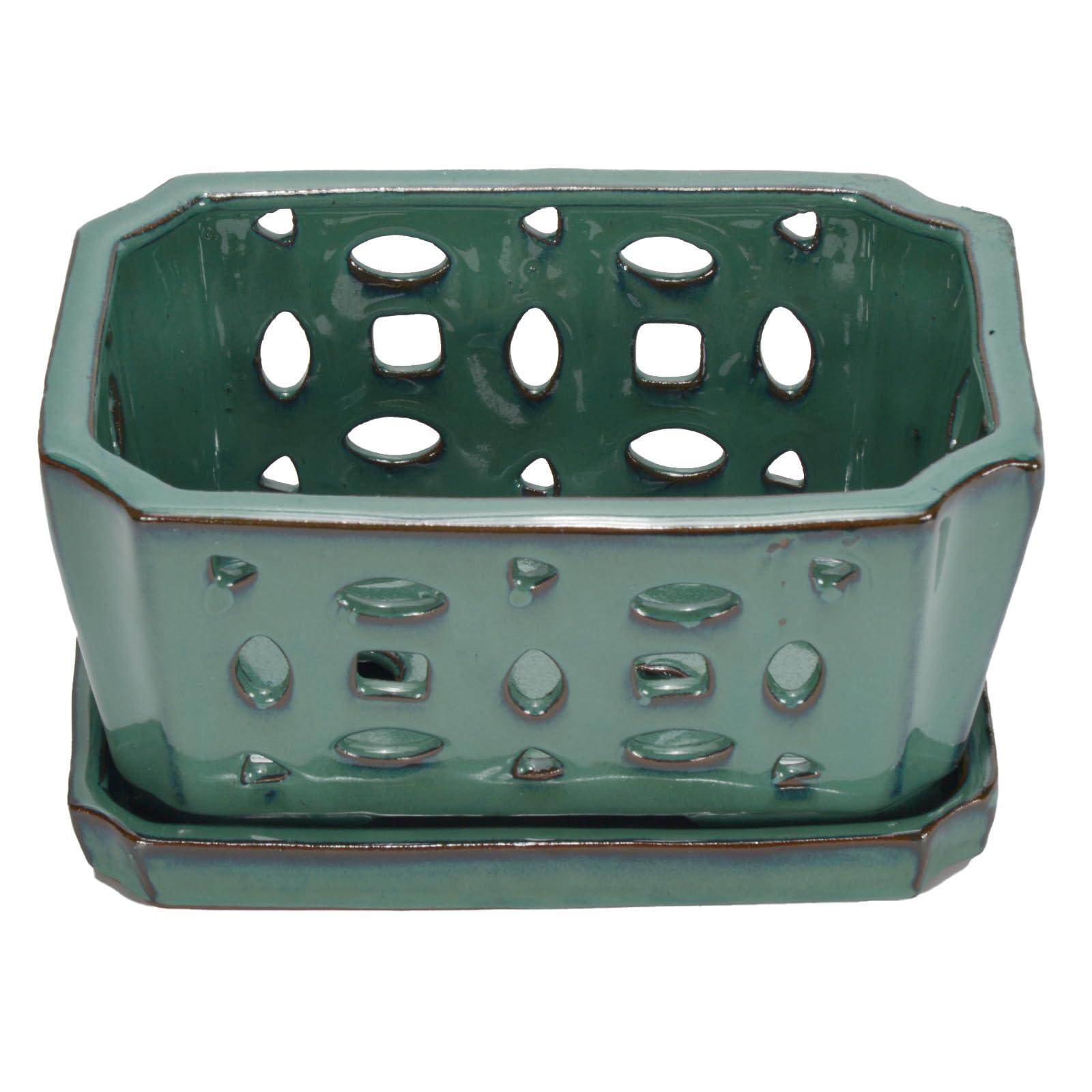 W&W saucer close-up demonstrating water catchment and clean surface protection