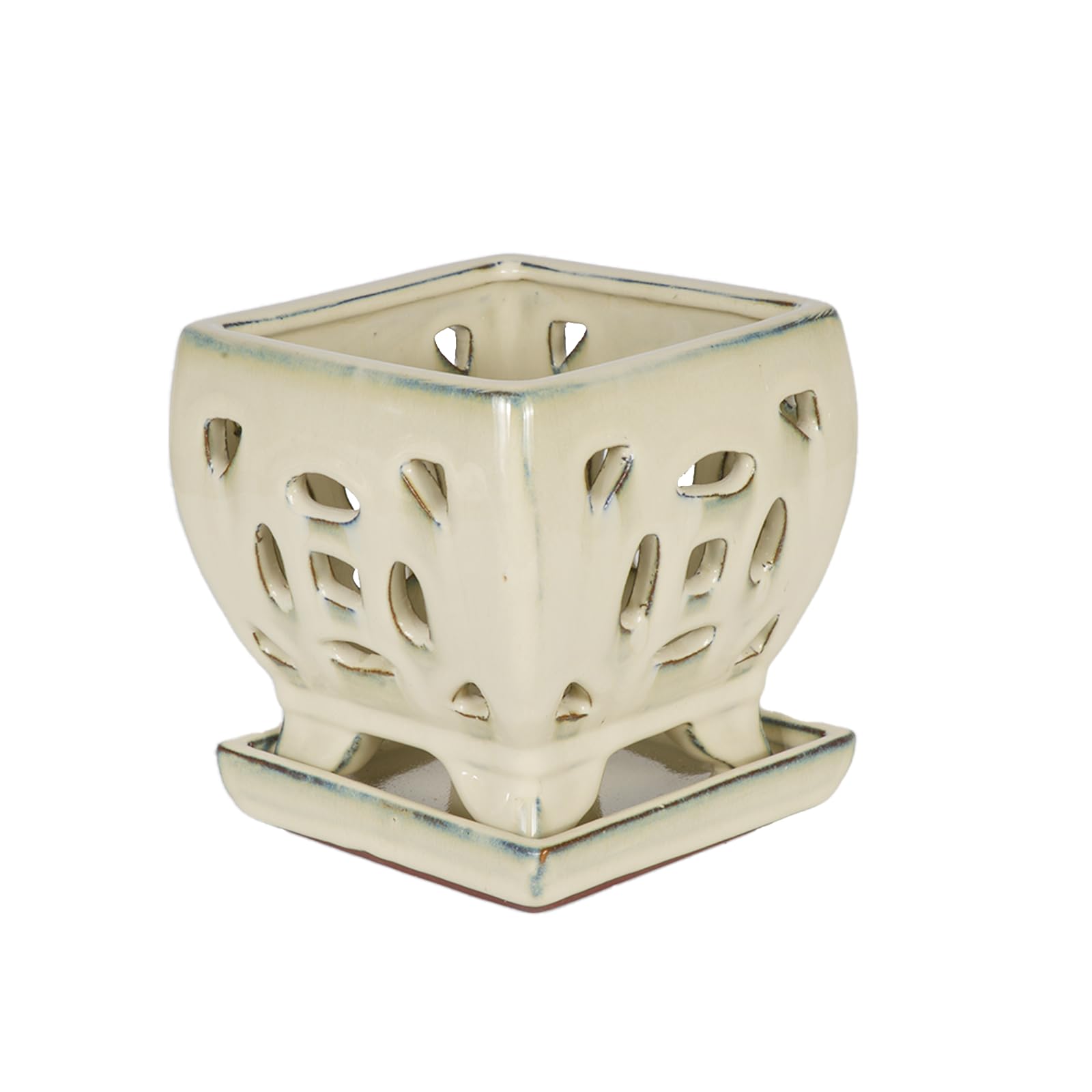 W&W orchid pot next to ruler showing 5.5-inch scale for correct plant fit