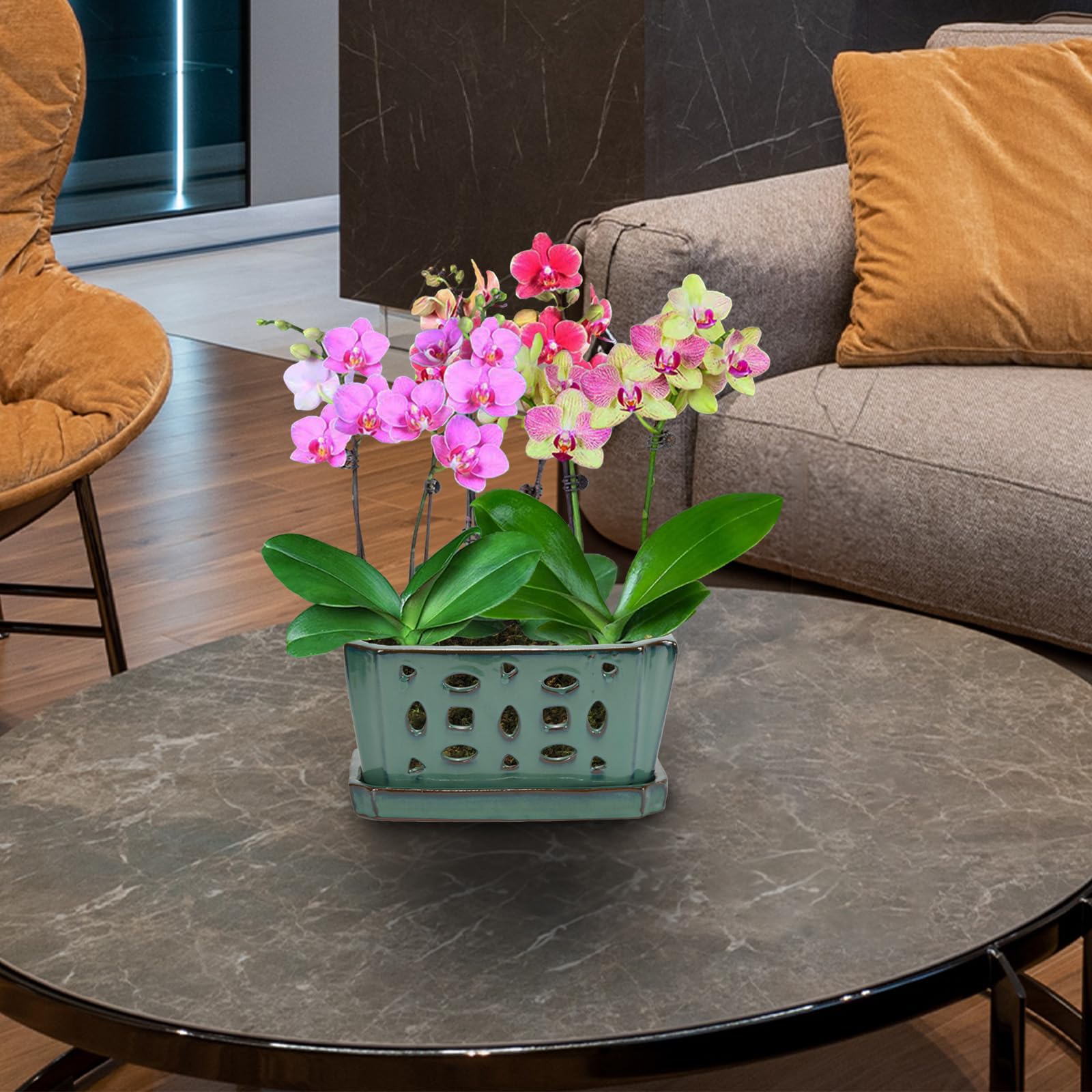 W&W pot in living room setting showing decorative integration and style boost