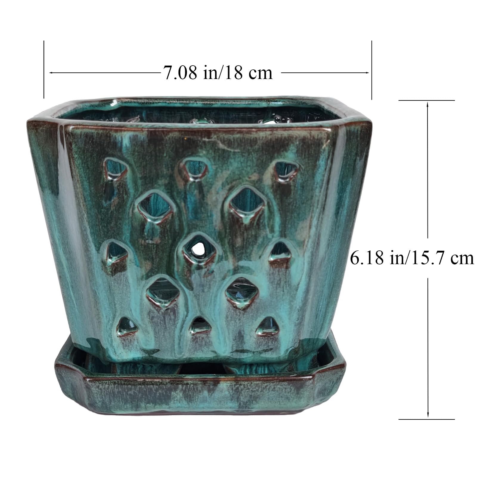W&W size comparison with ruler showing 7-inch scale for proper repotting fit