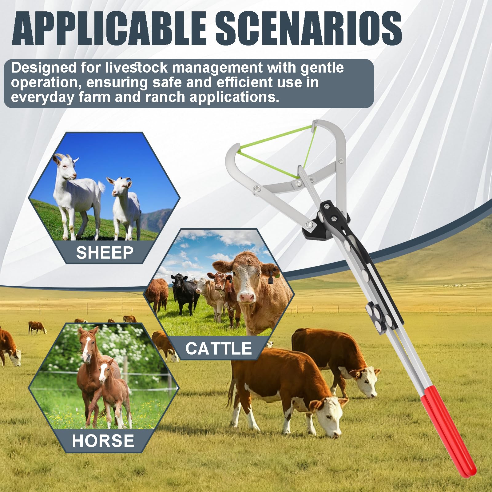 Wadoy open-frame detail highlighting easy-clean stainless steel design for improved hygiene and durability