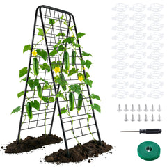 WAENLIR front view A-frame trellis showing sturdy structure and planting benefit