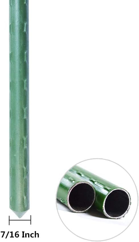 WAENLIR stakes supporting tomato plant for stronger stems