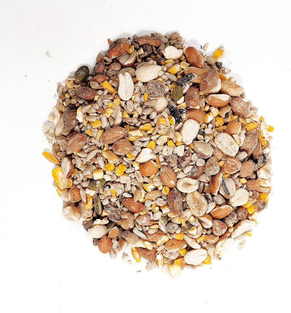 Wagner's mix in a hopper feeder attracting birds and reducing shell mess