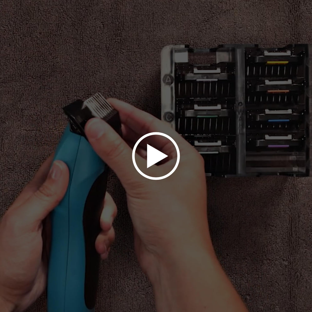 Wahl KMX accessories and heavy-duty cord laid out for ready-to-use setup