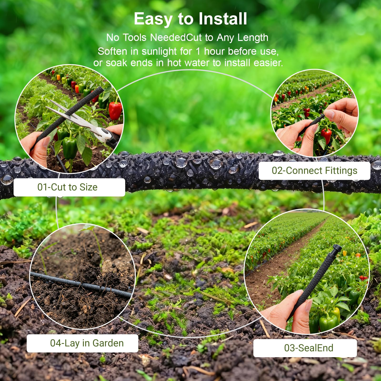WAIWL hose spiraled at tree base for deep-root watering and reduced waste