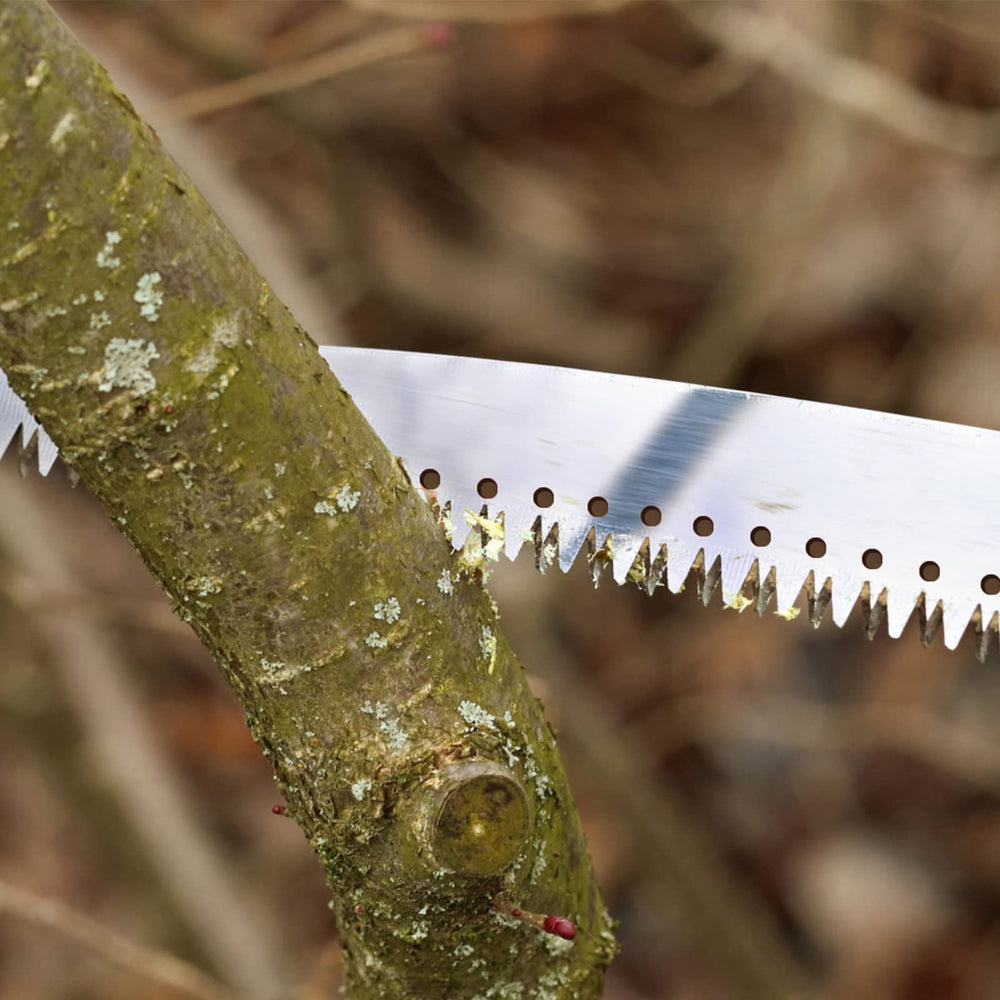 Walensee pole saw next to ruler for size comparison and handling convenience
