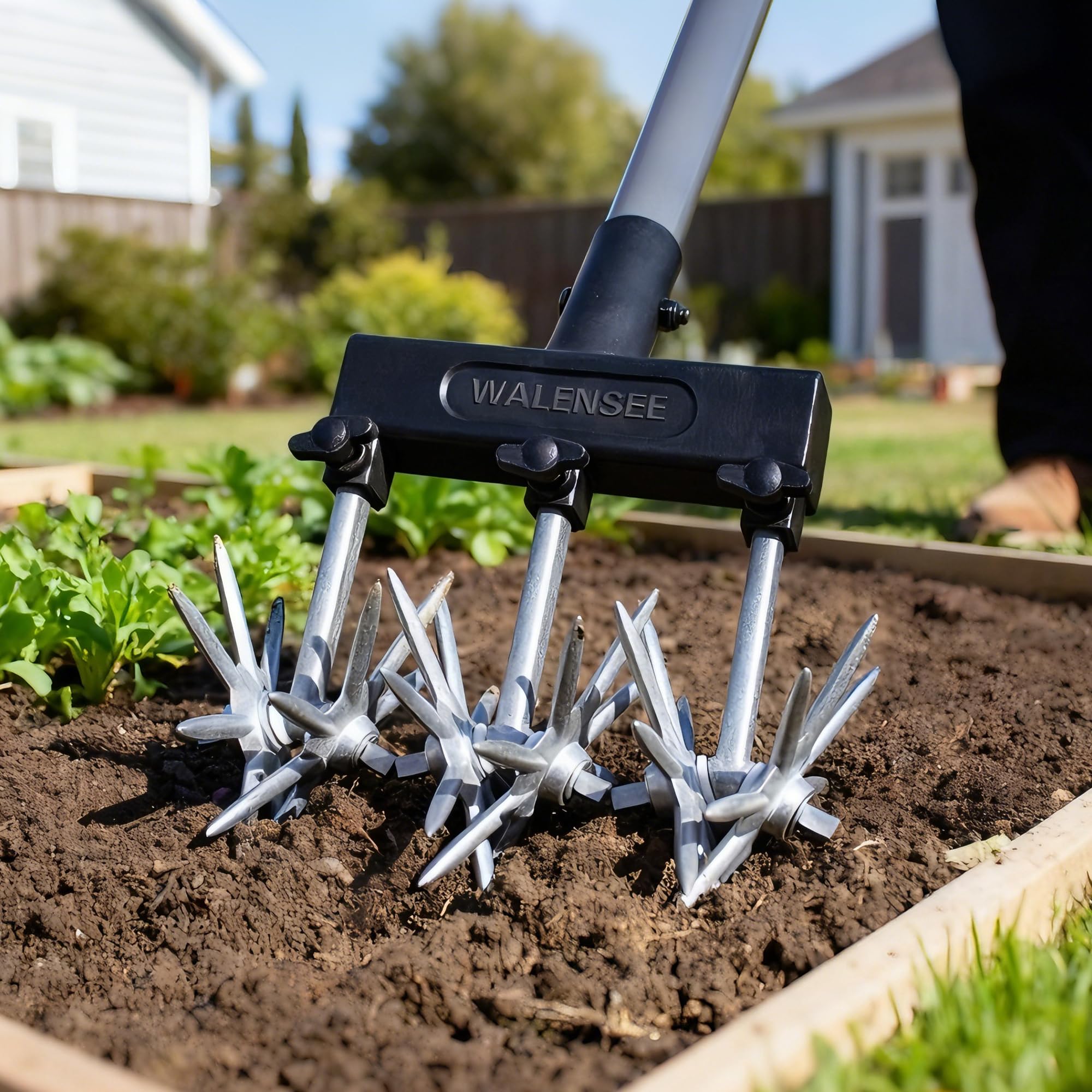 Walensee used in raised bed illustrating better seed-to-soil contact