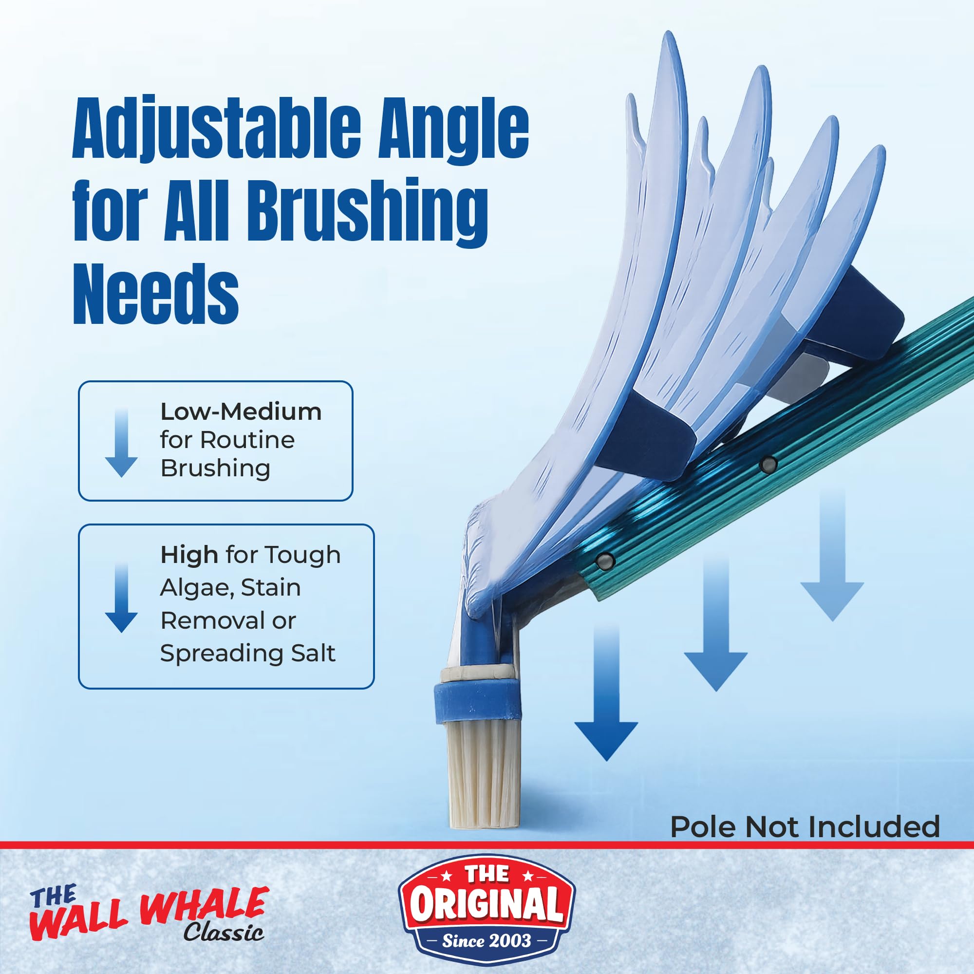 Wall Whale next to ruler for size comparison and coverage benefit