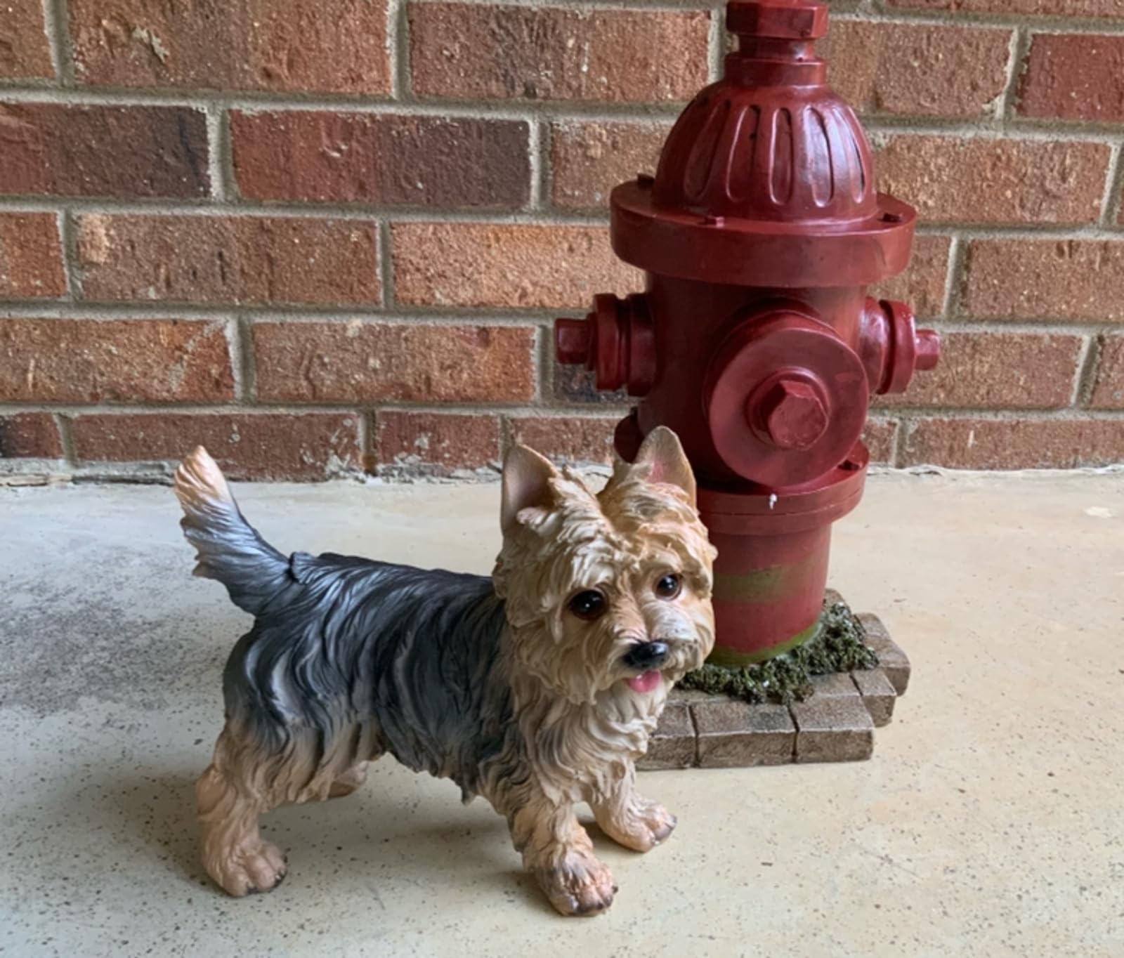 WANLIAN Yorkie on living room shelf providing warm decorative touch